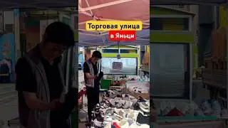 Туры в Яньцзи 