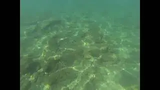 Морська стихія.