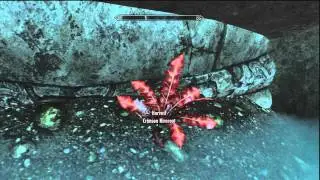 A Return to your Roots Skyrim Guide