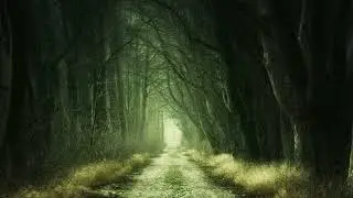 Relaxing Music And Meditation Music The Last Leaves of Autumn