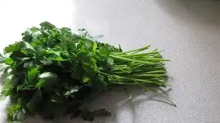 Comment conserver persil , coriandre كيفية الاحتفاض بالربيع