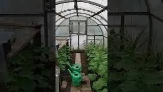 13 мая 2022 г.