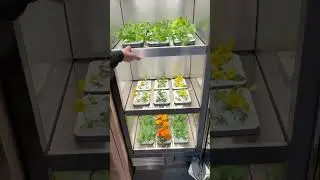 Will this ever be a thing…🌱