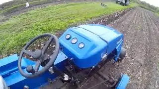 Копаю картошку.