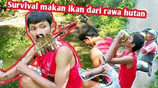survival makan ikan dari rawa hutan. dapat ikan kecil-kecil 👍👍👍👍