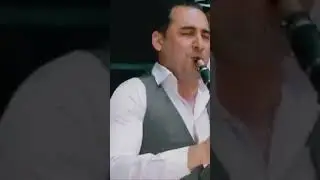 David Davidov #daviddavidov #music #вкругудрузей#live