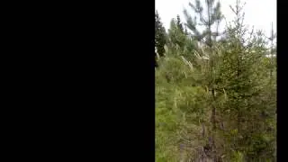 Красоты северного Урала | ВЛОГ