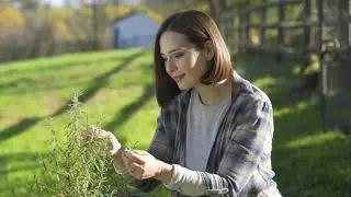 Ambient Weather commercial I