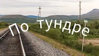 По тундре