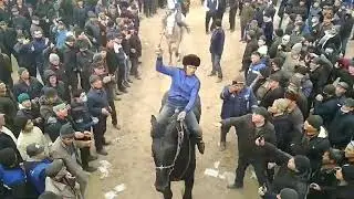 бузкаши узбекистон купкари қудрадхоҷа лексус 110 🐎💸🇹🇯🇺🇿🇰🇬🇰🇿👍