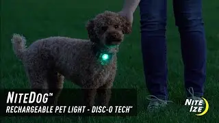 NiteDog™ Rechargeable Pet Light - Disc-O Tech™
