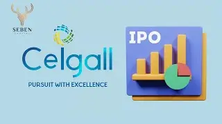 Ceigall India Ipo Review || Seben Capital || 