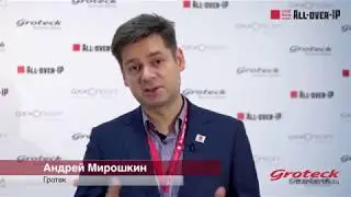 Андрей Мирошкин, Гротек