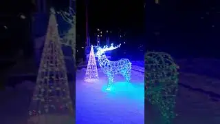 29 декабря 2023 г.