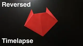 Traditional Origami Cat Reversed Timelapse! 