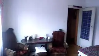 Kobra coś robi elo