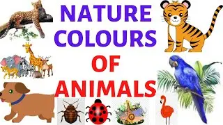 Animals With Nature Colours|| Primary Art Lesson|| Primary Art Lesson