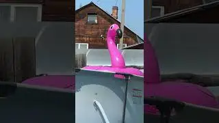 Гаганя колбасится ✌️