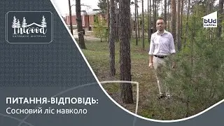 Де розташоване котеджне містечко Inwood (Інвуд)? | BudCapital