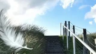 Engel ohne Flügel 