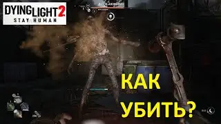 КАК УБИТЬ ВГМ АНОМАЛИЯ В Dying Light 2 Stay Human ➤ HOW TO KILL VGM ANOMALY