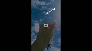 1, 2, 3, 4 Whatsapp status