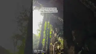 Visiting Cenote Oxman during my Tulum Mexico vacation was a vibe! #shorts #tulumvlog