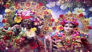 New vijan