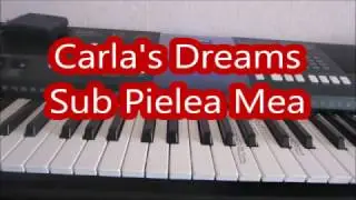 Carla's Dreams  "Sub Pielea Mea" Обучение!