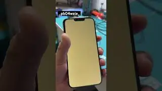 iphone 13pro max green screen solution #brampton #foryou #canada