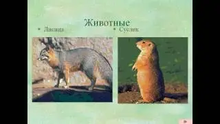 Презентация Ильменский заповедник