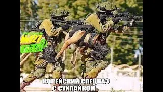 ПРИКОЛЫ 2017   Пока никто не видит   ржака до слез