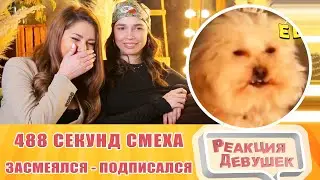 Girls React. ЗАСМЕЯЛСЯ - ПОДПИСАЛСЯ!! ЛУЧШИЕ ПРИКОЛЫ I 488 СЕКУНД СМЕХА. Reaction.