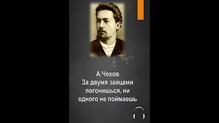 За двумя зайцами погонишся ни одного не поймаешь