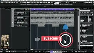 Matsh Samples To The Project Root Key In Cubase 12 pro