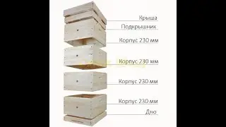 Так сколько рамок надо в гнездовой корпус многокорпусного улья?
