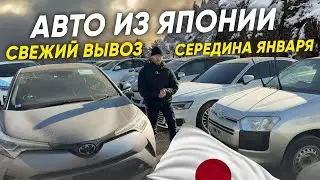 Авто из Японии по Низким Ценам / Большой вывоз