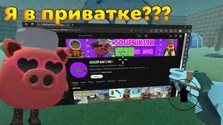 🥳Меня добавили в приватный сервер🥳 Новое обновление в приватном сервере чикен ган 