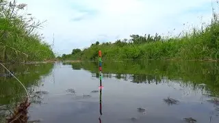 cara memilih spot mancing nila babon seperti ini 100% sudah paling bener