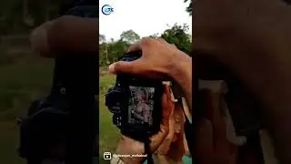 Canon DSLR photography in AV mode. #shorts #camera #photography