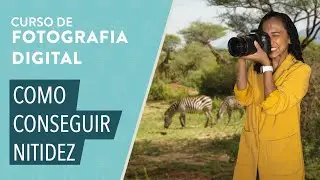 CURSO BÁSICO DE FOTOGRAFIA: Como conseguir nitidez na fotografia
