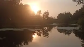 посылка но не та ,как провести вечер после работы