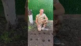 #огород
