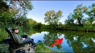 THE HEAT IS GONE! Fishing on the Dniester
