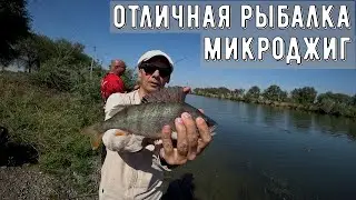 микроджиг/горячие окуни/ отличная рыбалка с товарищем!