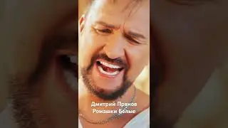 Хит Лета! Дмитрий Прянов - Ромашки белые