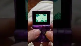 Funkey S Test: Pokemon Mystery Dungeon Red Rescue Team