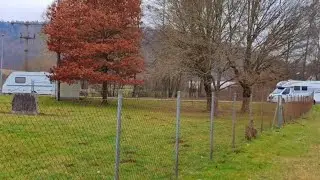 ÇEKME KARAVAN ALMAYA KARAR VERDİM. KÖPEKLERİMLE GEZİNTİYE ÇIKTIK.