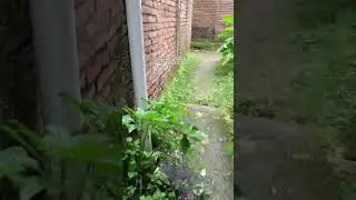 #myword