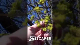 MARCH GARDEN TOUR ZONE 6 